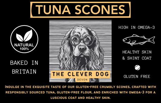 Tuna Scones (100g)